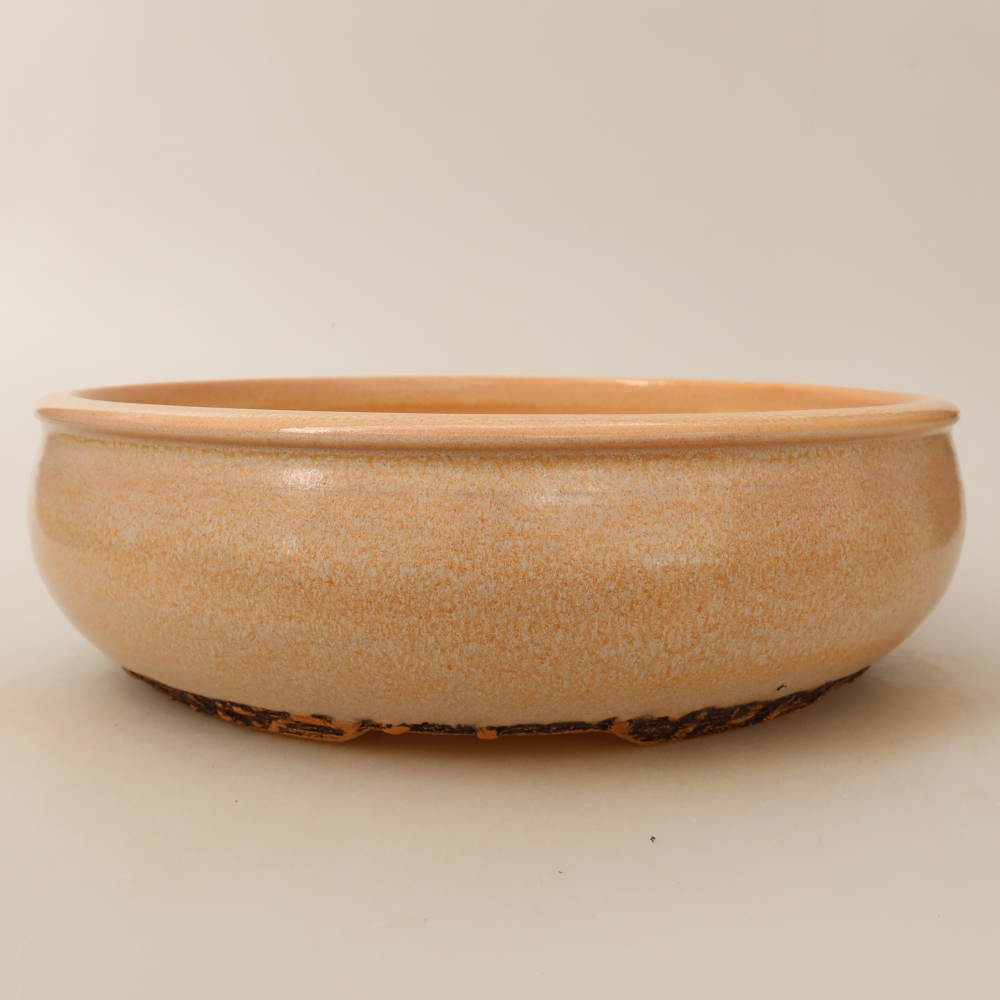 Bol à bonsaï en céramique 24 x 24 x 7 cm, couleur beige