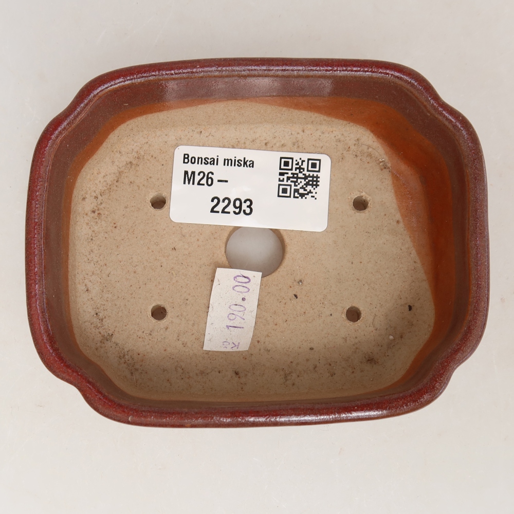 Pot à bonsaï en céramique 10,5 x 8 x 4 cm, couleur bordeaux