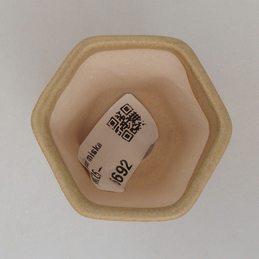 Mini bol bonsaï 5 x 5 x 5 cm, brun