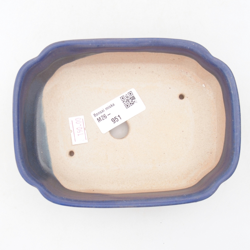 Bol à bonsaï en céramique 15,5 x 11,5 x 4 cm, couleur bleu
