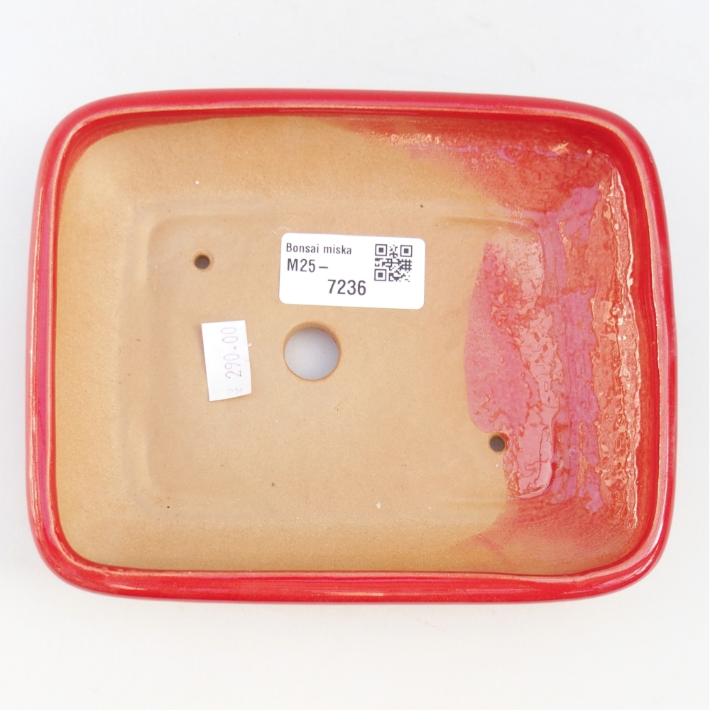 Bol à bonsaï en céramique 16,5 x 13,5 x 3,5 cm, couleur rouge