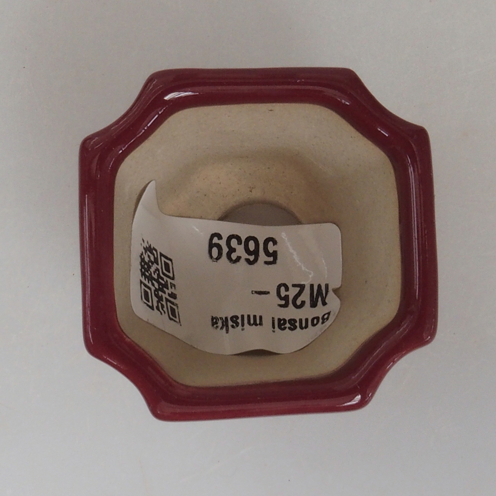 Mini bol bonsaï 4 x 4 x 4 cm, bordeaux