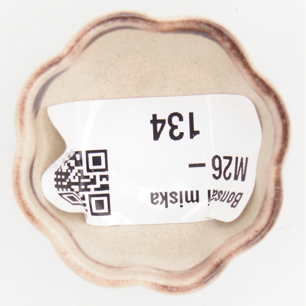 Mini bol bonsaï 4 x 4 x 2 cm, couleur rouge