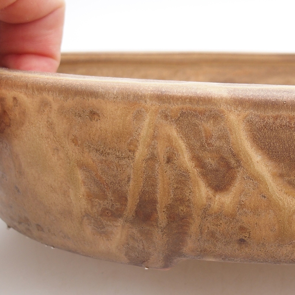 Bol à bonsaï en céramique 26 x 20 x 5 cm, couleur beige