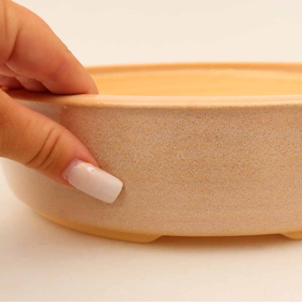 Pot à bonsaï en céramique 26 x 26 x 6,5 cm, couleur beige