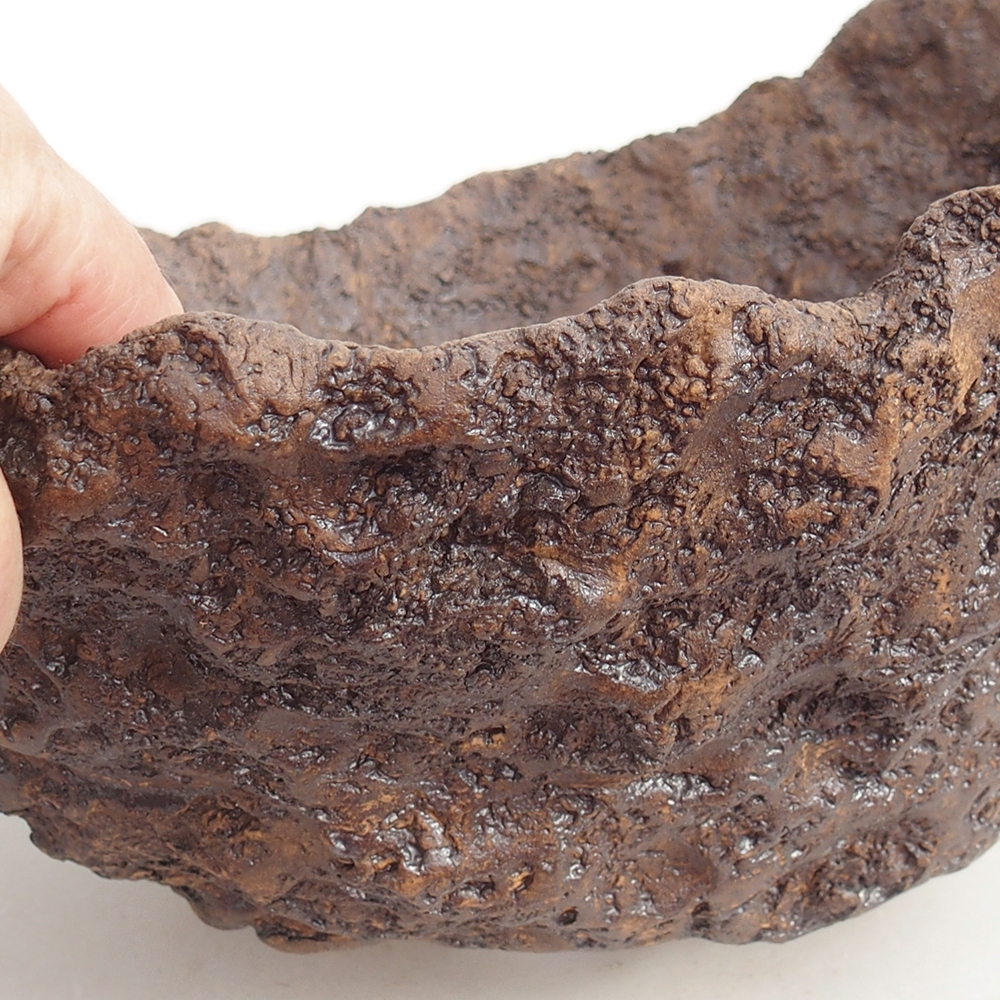 Coquille en céramique 24 x 22 x 22 cm , couleur marron