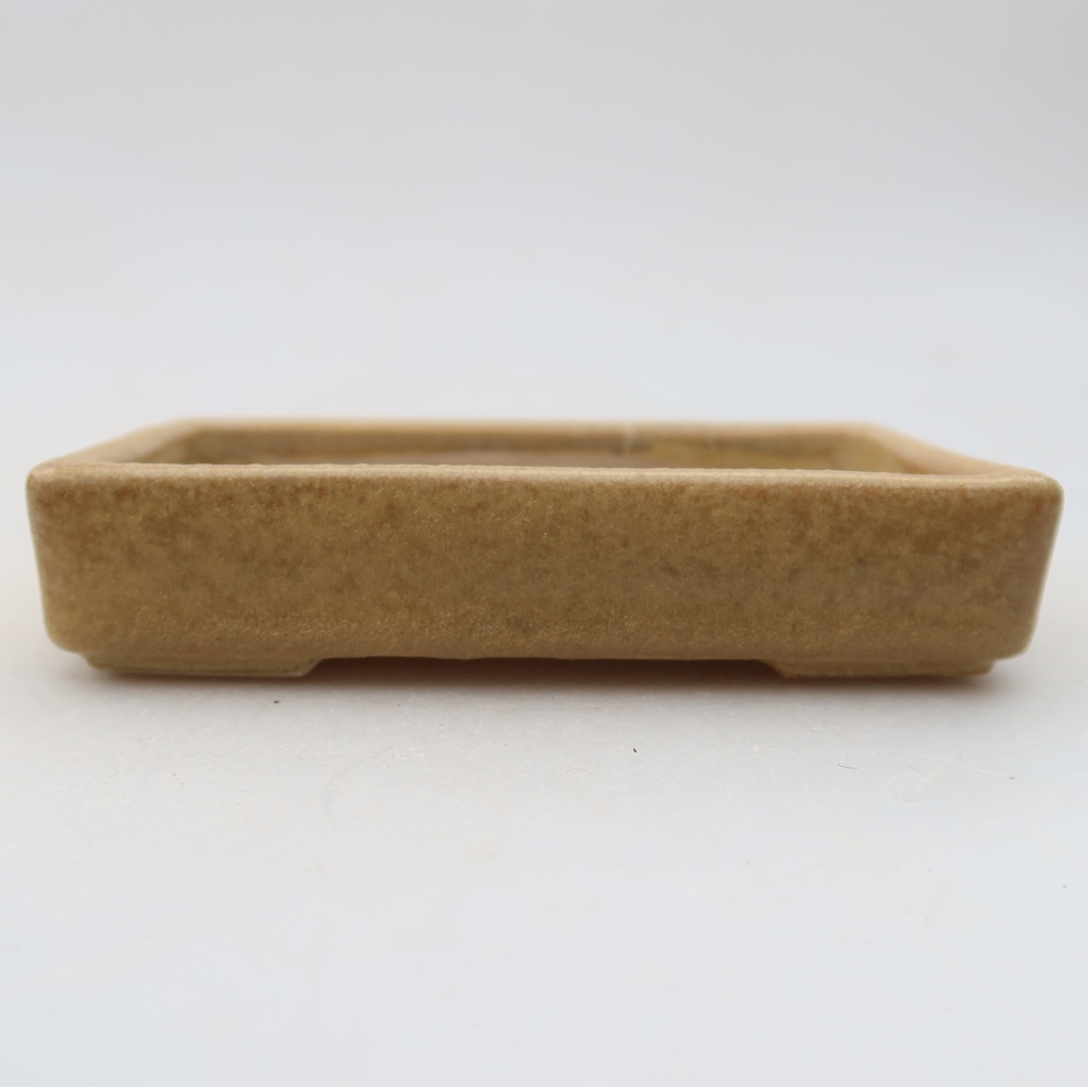 Bol à bonsaï en céramique 10 x 7 x 2 cm, couleur beige