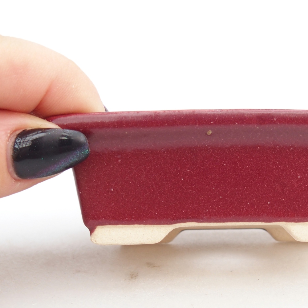 Mini bol bonsaï 8 x 6 x 2,5 cm, bordeaux