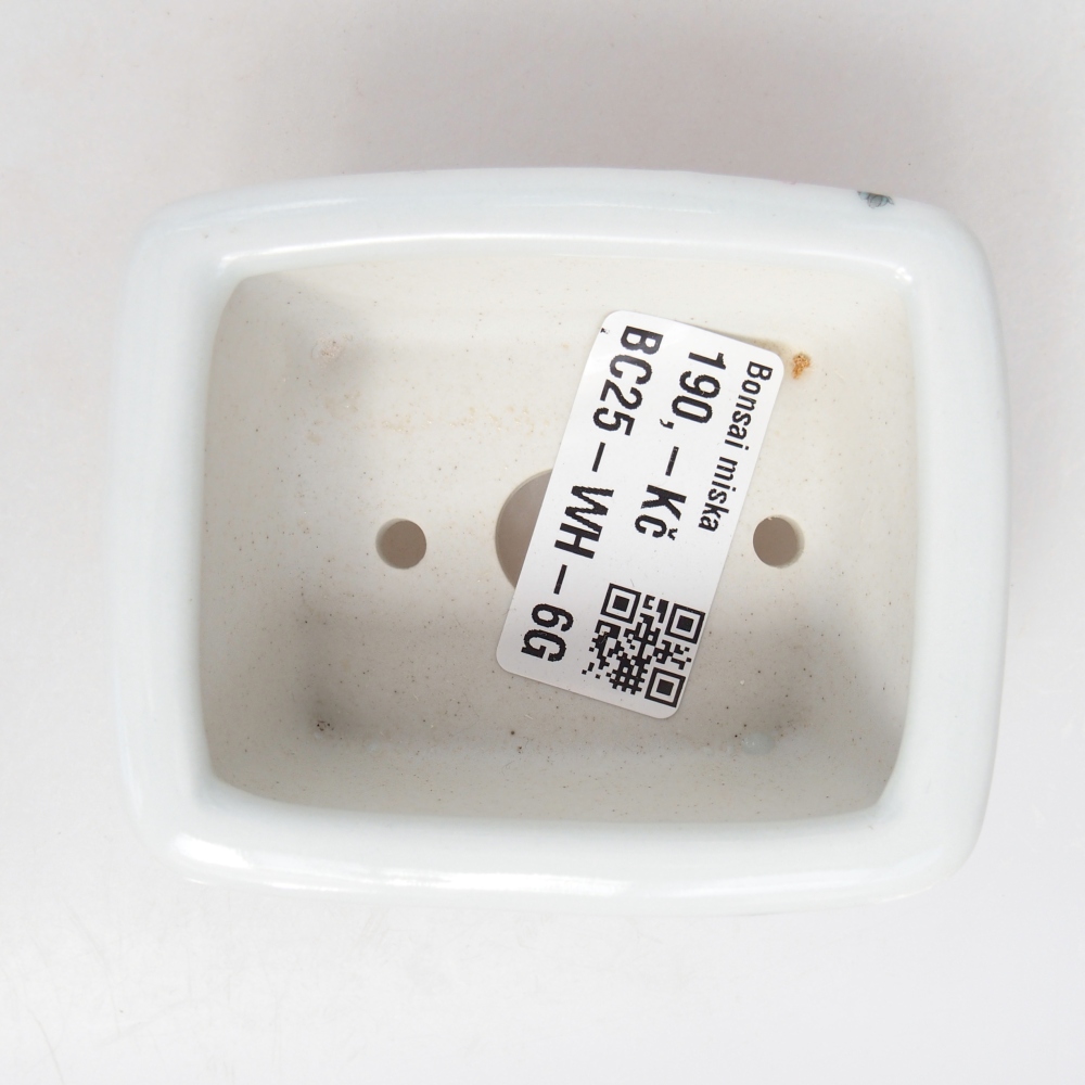 Mini bol bonsaï 8 x 6,5 x 3,5 cm, blanc