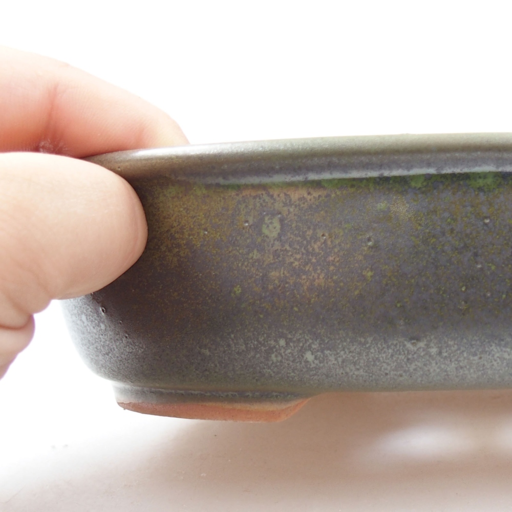 Bol à bonsaï en céramique 22 x 17 x 5 cm, vert