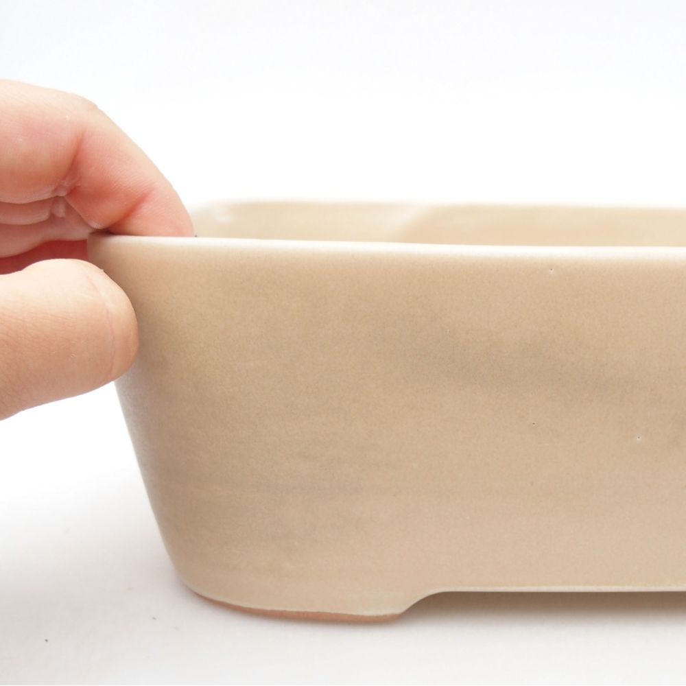 Bol à bonsaï en céramique 23 x 18 x 7,5 cm, couleur beige