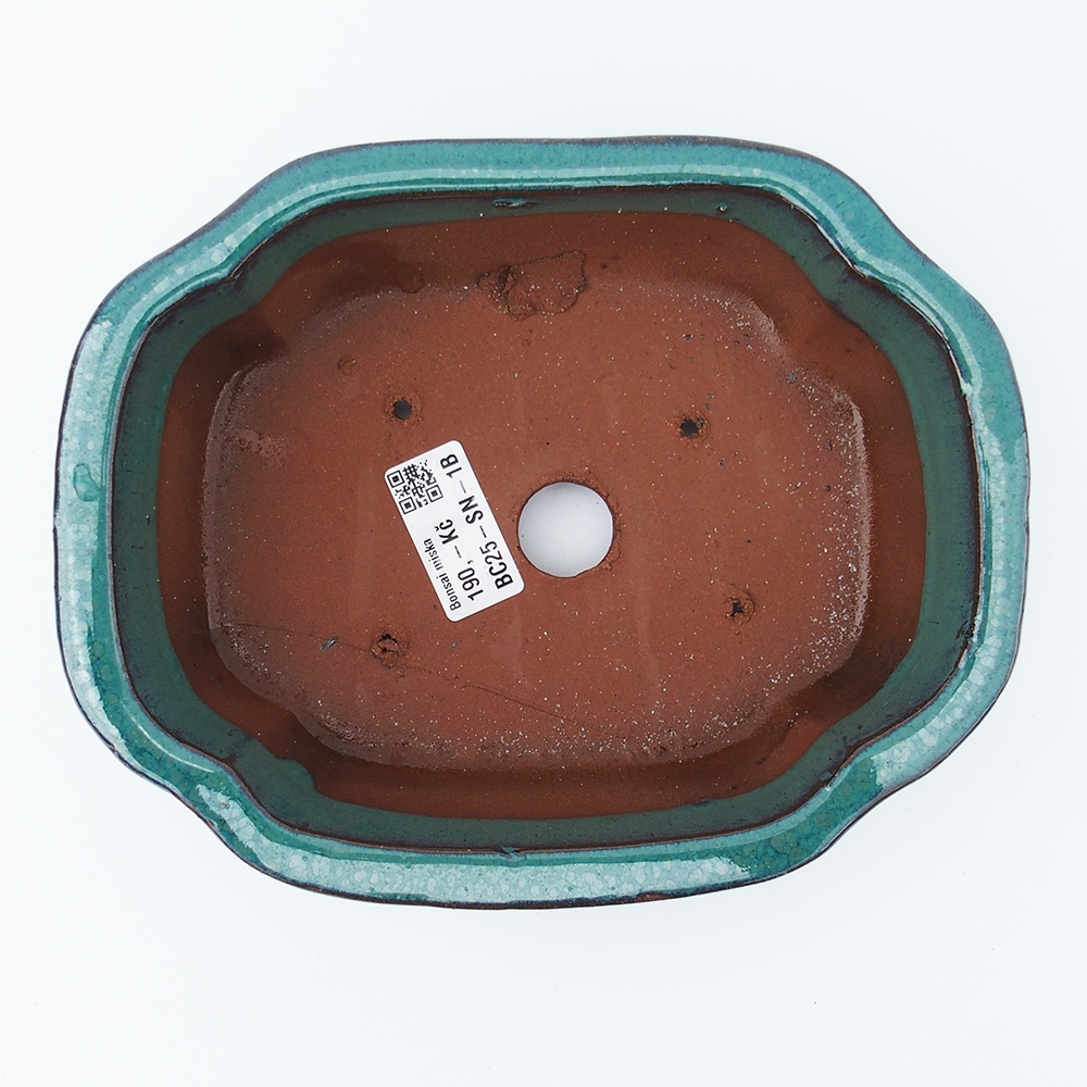 Bol 20 x 16 x 6,5 cm vert-bleu