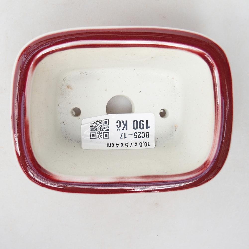 Bol à bonsaï en céramique 10 x 7,5 x 4 cm, couleur rouge