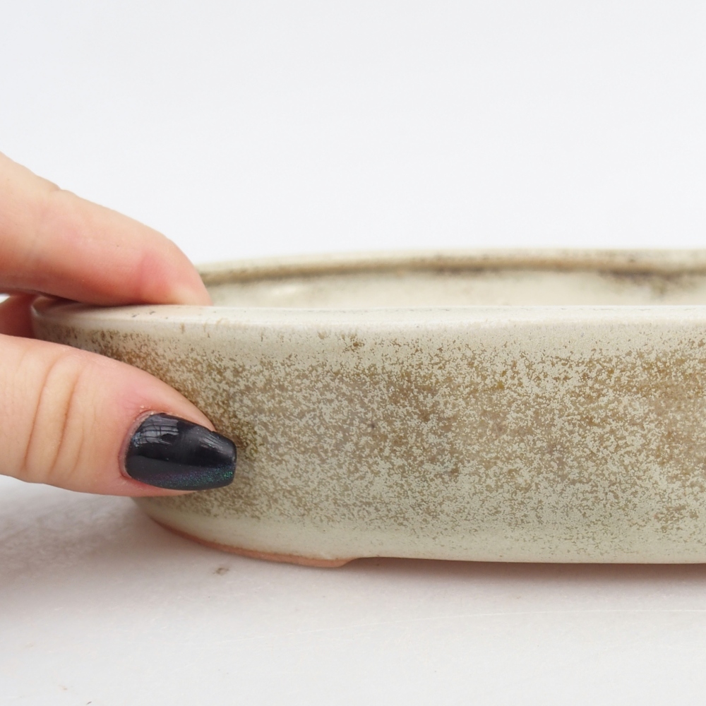 Bol à bonsaï en céramique 22,5 x 17 x 4,5 cm, vert