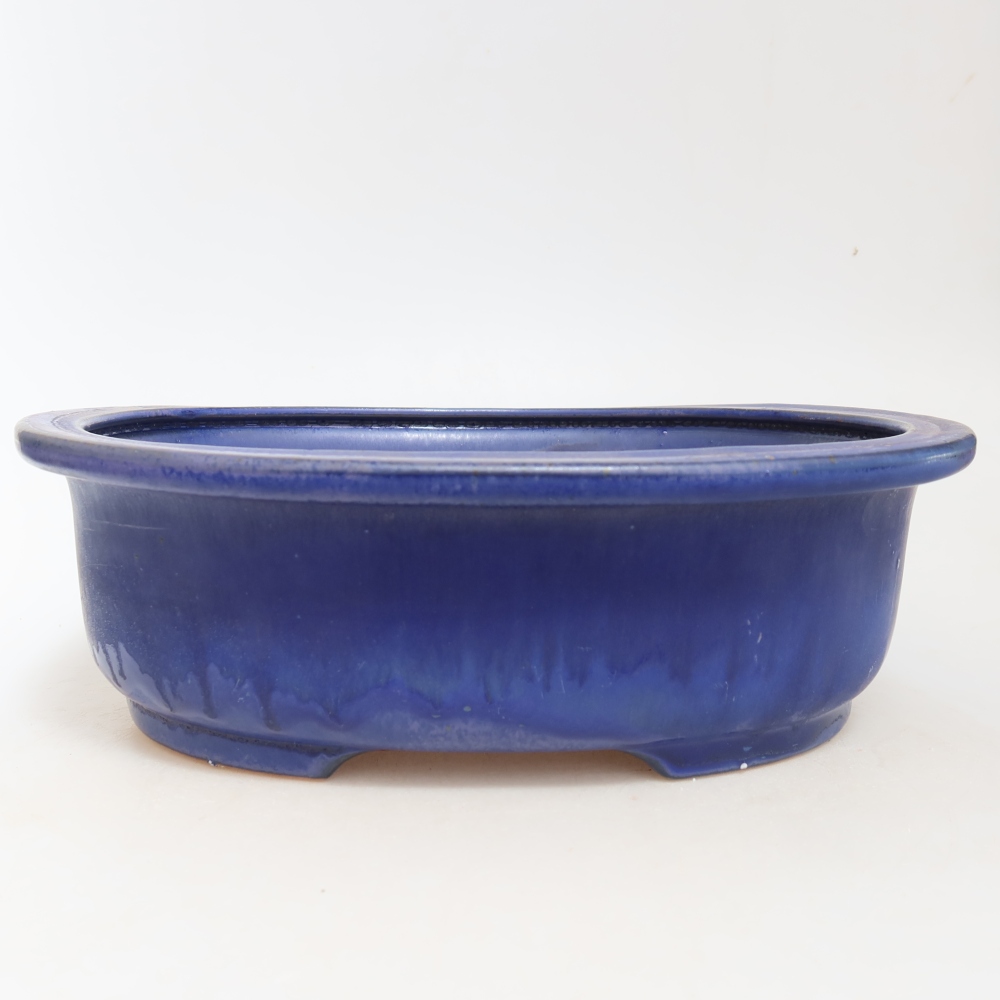 Bol à bonsaï en céramique 26 x 22 x 8 cm, couleur bleu