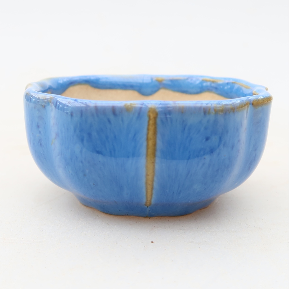 Pot à bonsaï en céramique 6 x 6 x 3 cm, couleur bleue