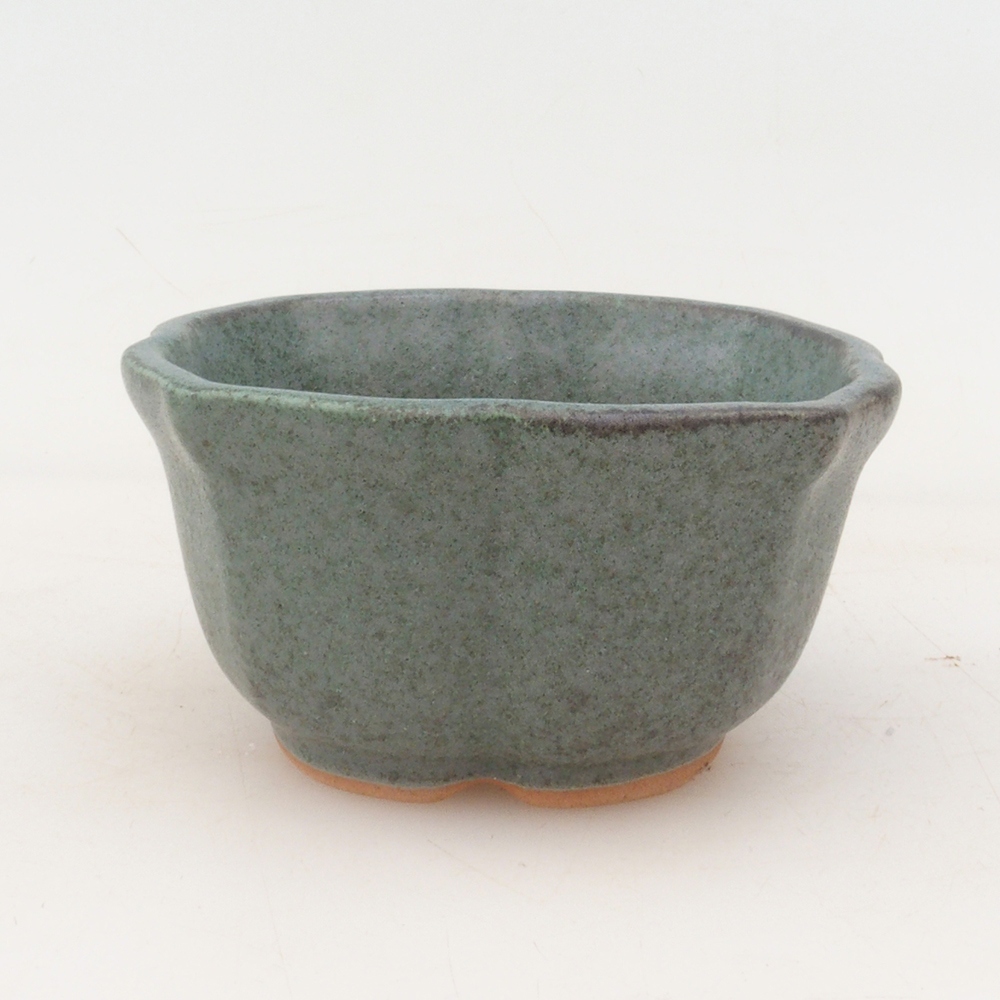 Coupe bonsaï H95 - 7,5 x 7,5 x 4 cm - vert