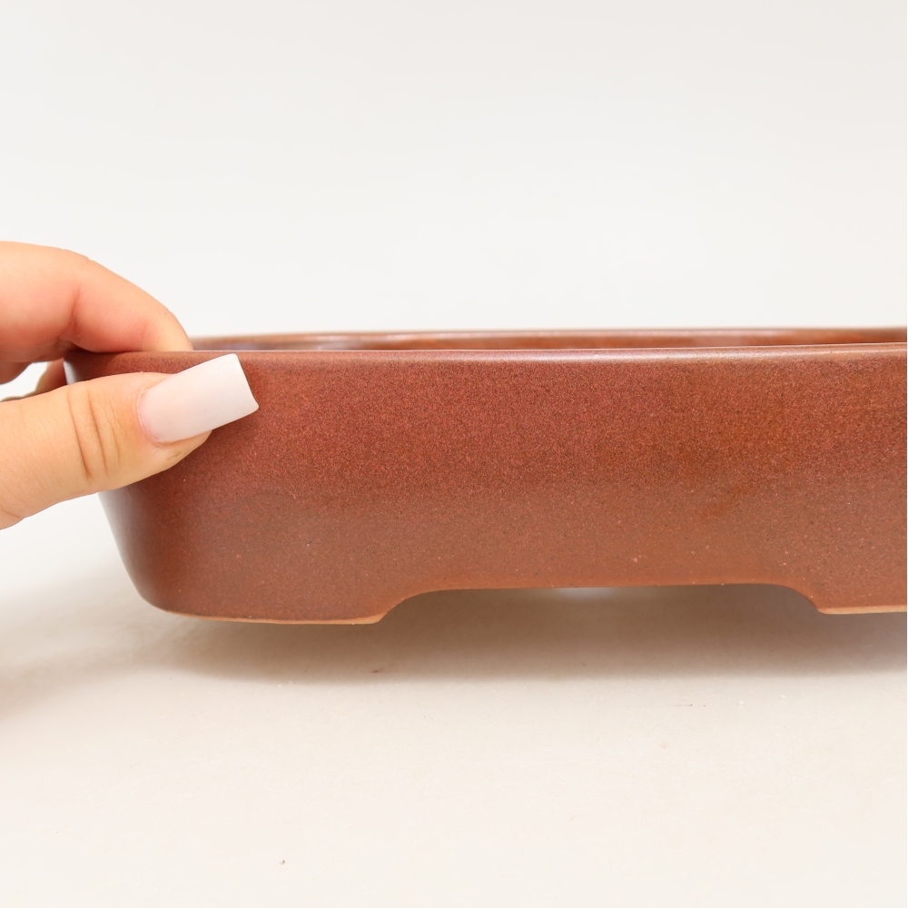 Bol à bonsaï en céramique 23 x 18 x 5,5 cm, bordeaux