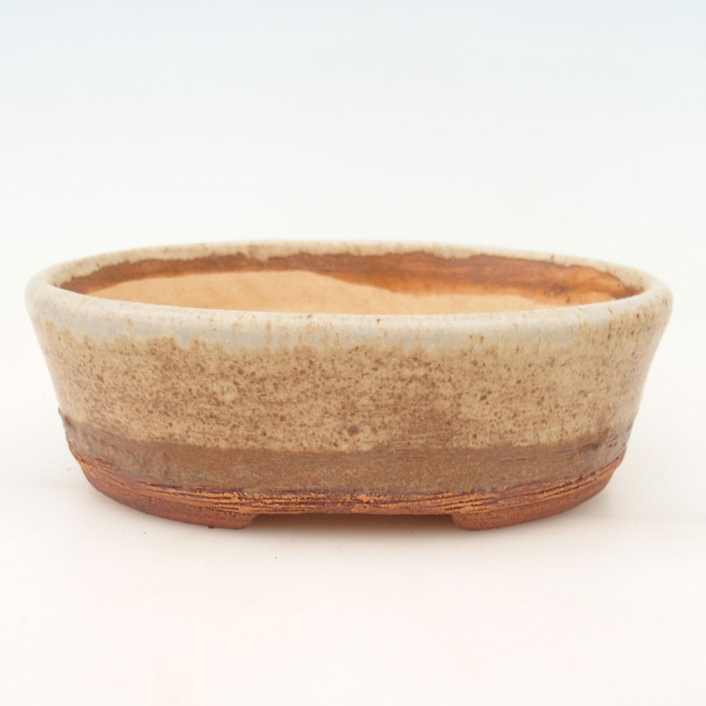 Bol bonsaï 20 x 16 x 6,5 cm , couleur beige