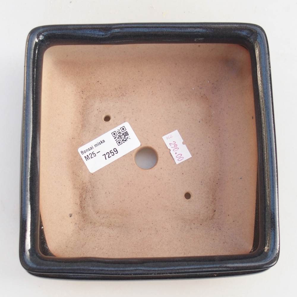 Bol à bonsaï en céramique 15,5 x 15,5 x 6 cm, noir