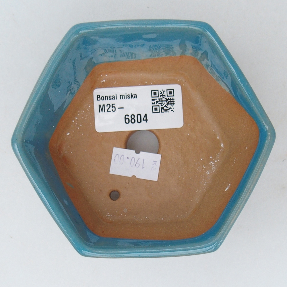 Bol à bonsaï en céramique 10,5 x 9,5 x 5 cm, couleur bleu