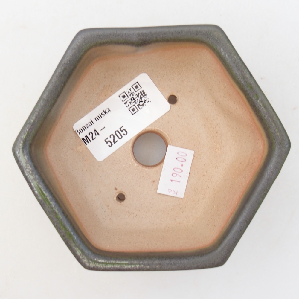 Bol à bonsaï en céramique 10 x 9 x 5 cm, vert