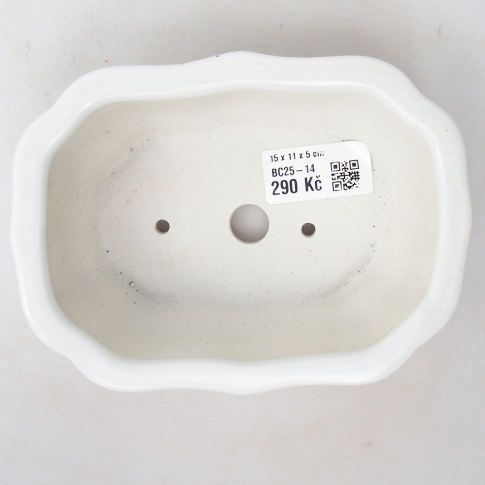 Bol à bonsaï en céramique 15 x 11 x 5 cm, couleur blanc