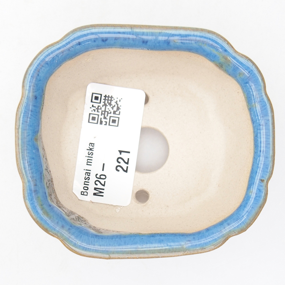 Mini bol bonsaï 7,5 x 7 x 3 cm, couleur bleu