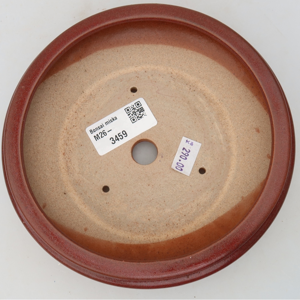 Pot à bonsaï en céramique 15 x 15 x 5 cm, couleur bordeaux