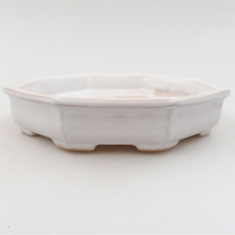 Bol à bonsaï en céramique 22 x 17 x 5 cm, vert