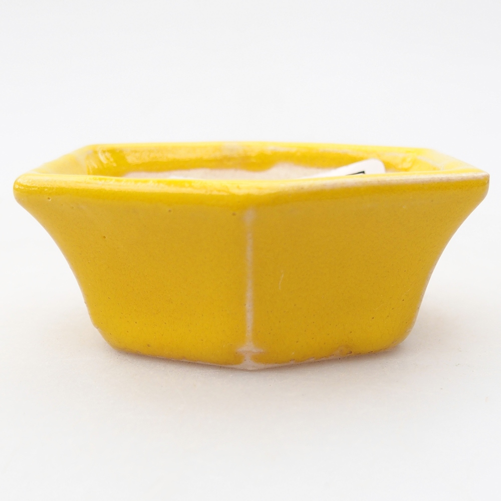 Mini bol bonsaï 6 x 5,5 x 2,5 cm, jaune