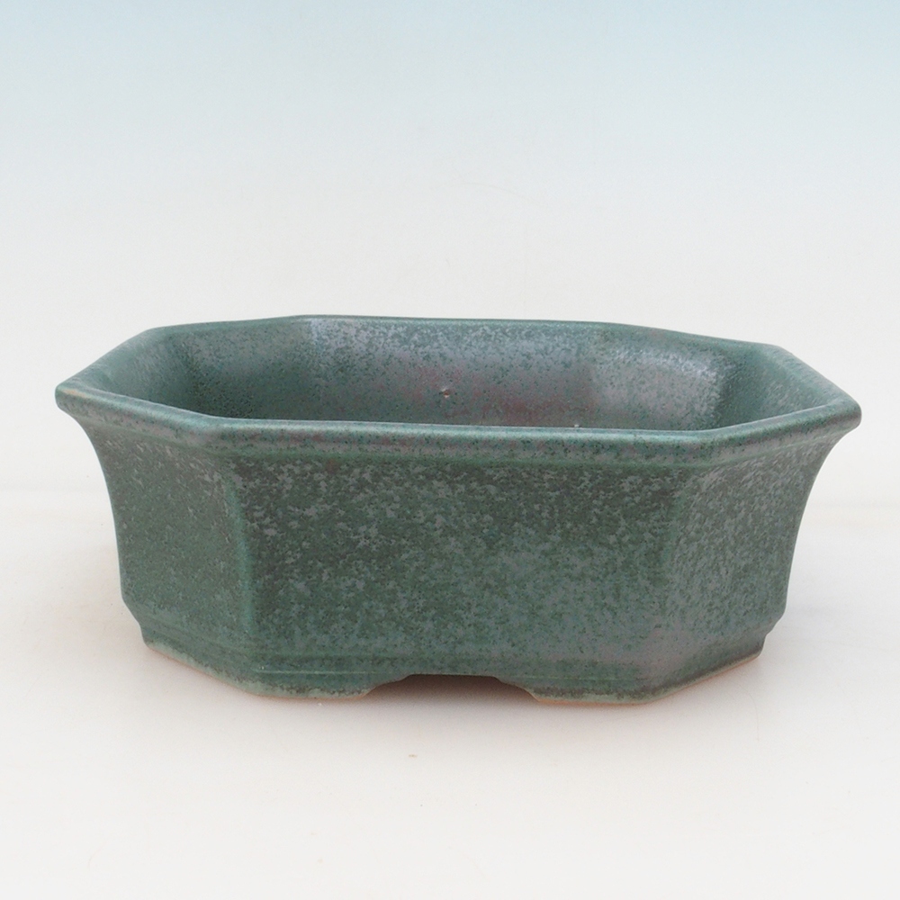 Bol Bonsaï + soucoupe H14 - vert