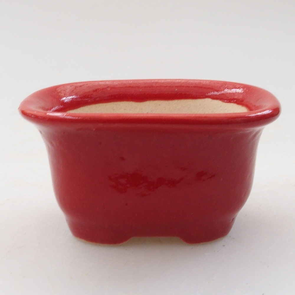 Mini bol bonsaï 6 x 4,5 x 3 cm, couleur rouge