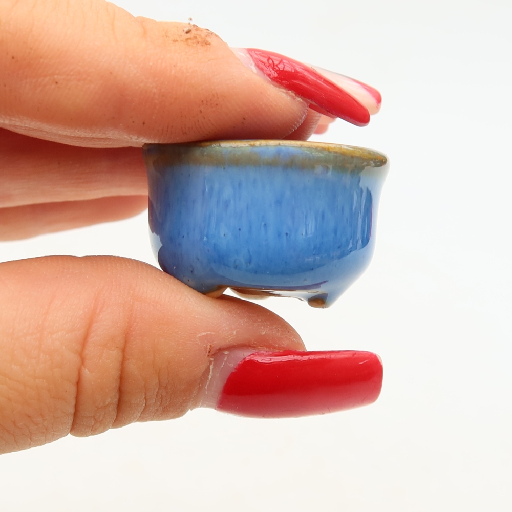 Pot à bonsaï en céramique 2,5 x 2,5 x 2 cm, couleur bleue