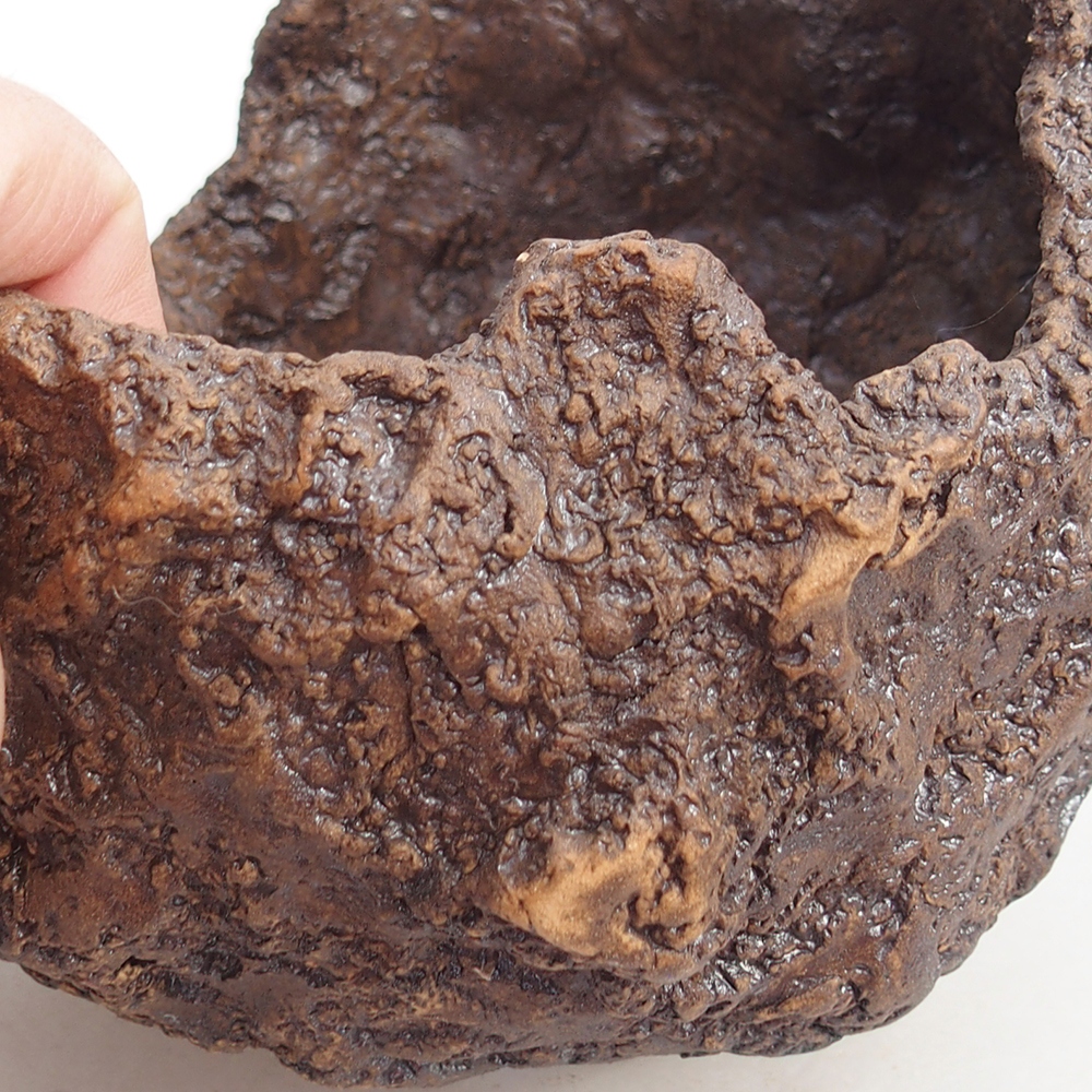 Coquille en céramique 16 x 14 x 14 cm , couleur marron