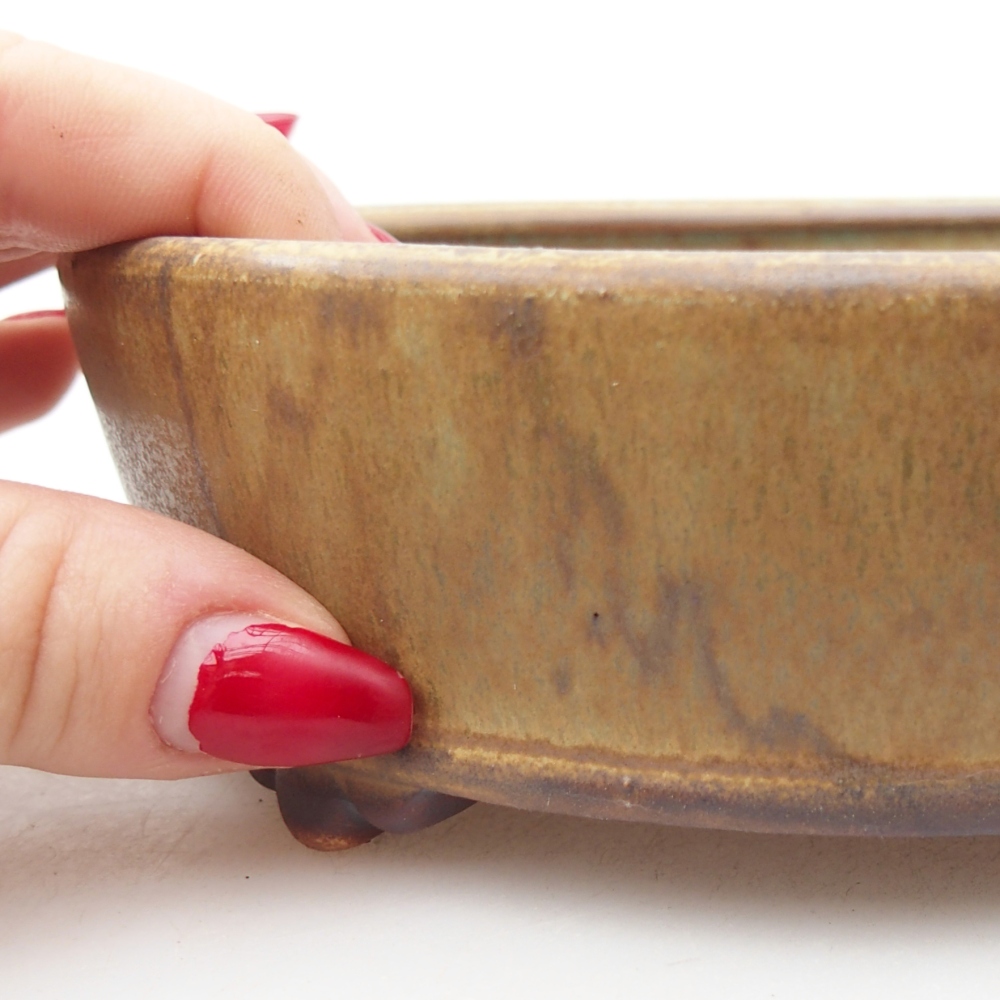 Bol à bonsaï en céramique 15,5 x 15,5 x 5 cm, vert