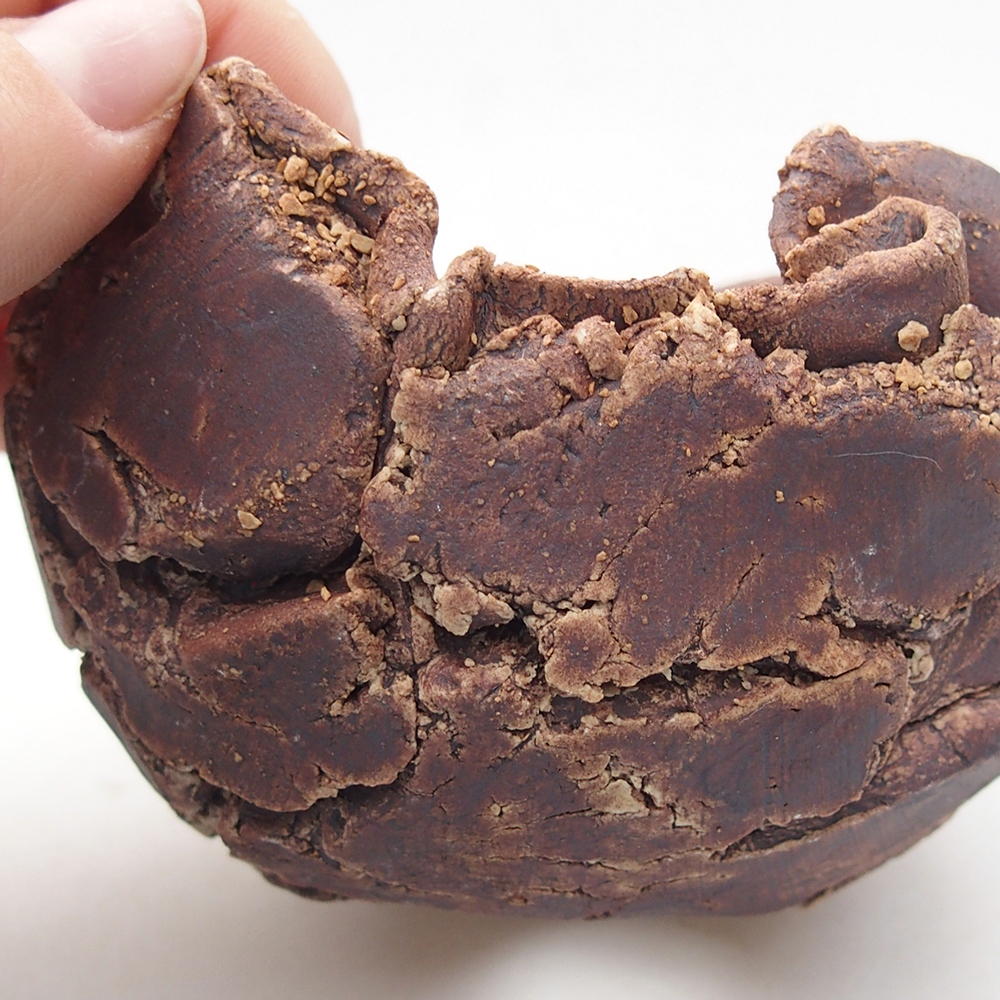 Coquille en céramique 9 x 8,5 x 6,5 cm , couleur marron