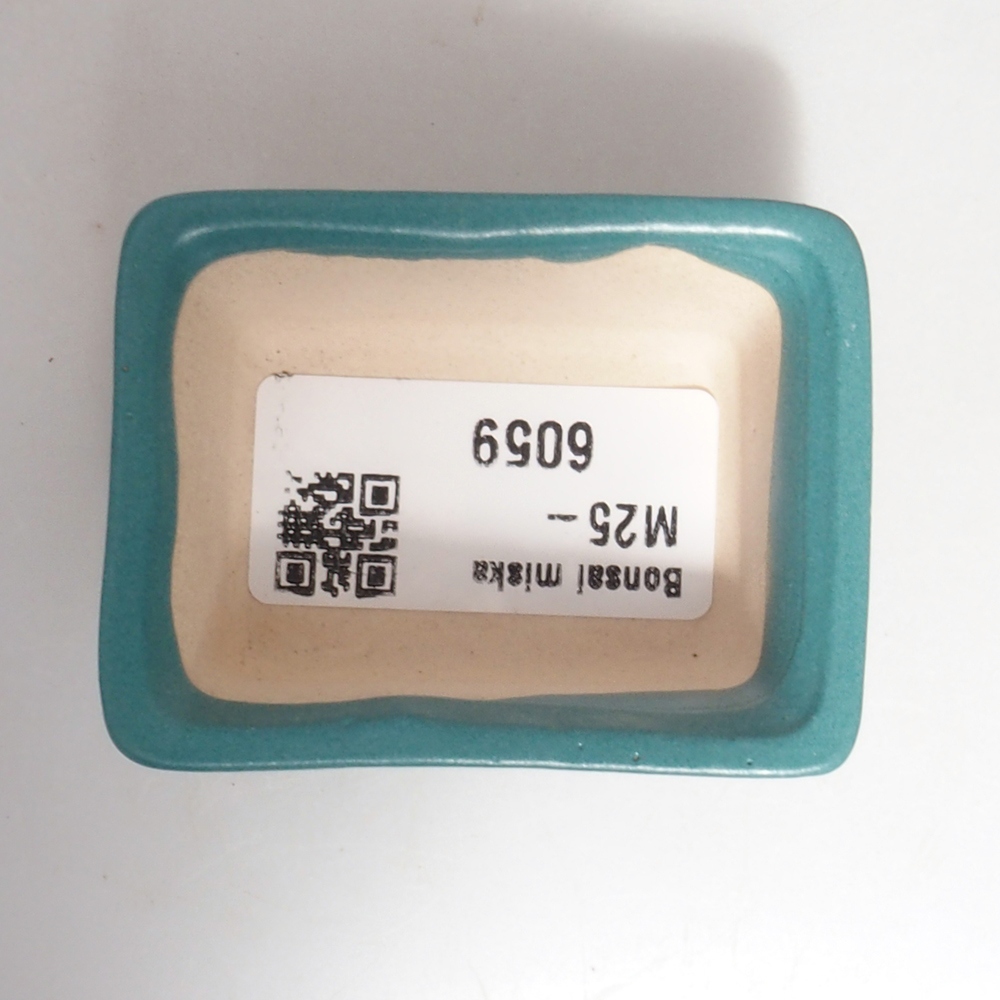 Bol à bonsaï en céramique 6,5 x 5,5 x 4 cm, couleur bleu