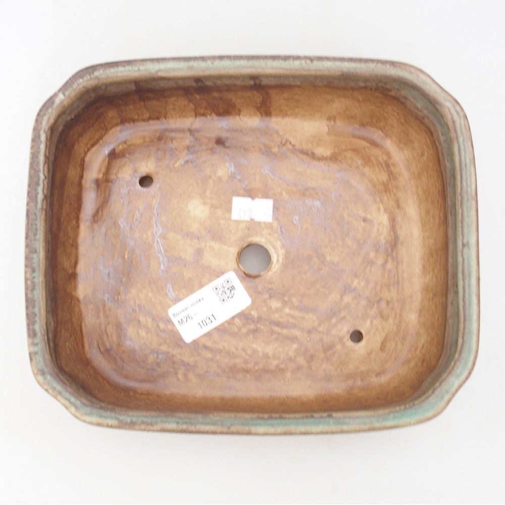 Bol à bonsaï en céramique 21 x 18 x 6 cm, vert