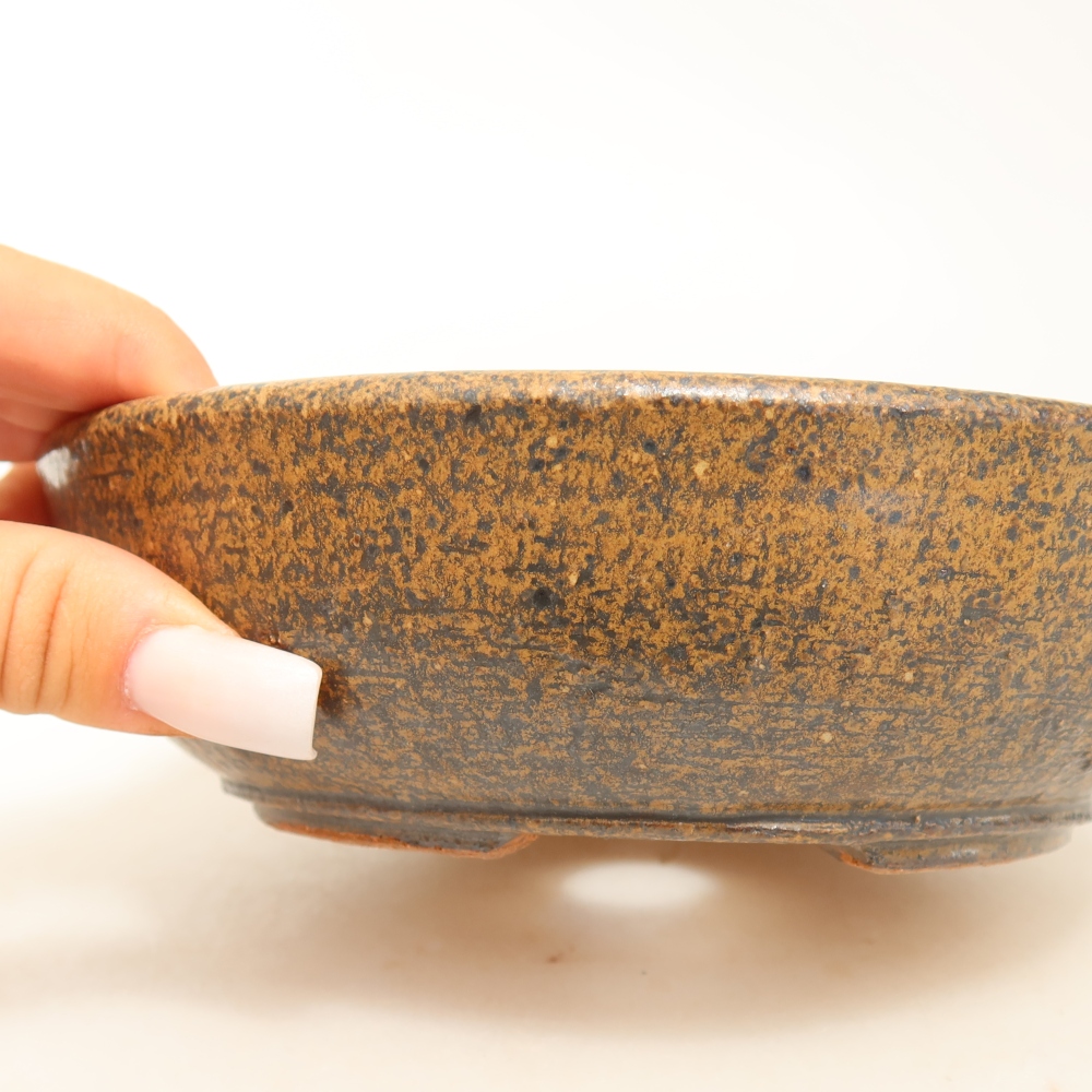Pot à bonsaï en céramique 17 x 17 x 5 cm, couleur marron
