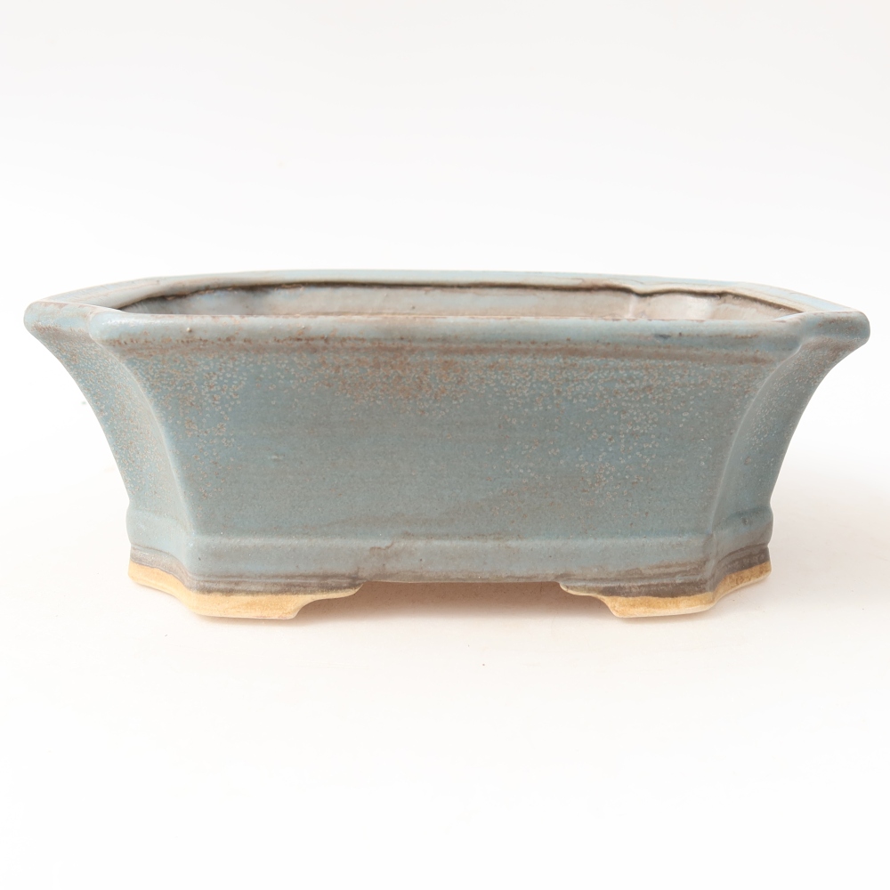 Pot à bonsaï en céramique 18 x 15,5 x 6 cm, couleur bleue