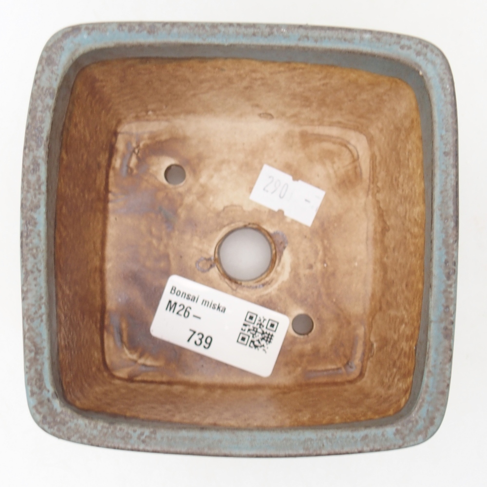 Bol à bonsaï en céramique 11 x 11 x 7 cm, couleur bleu