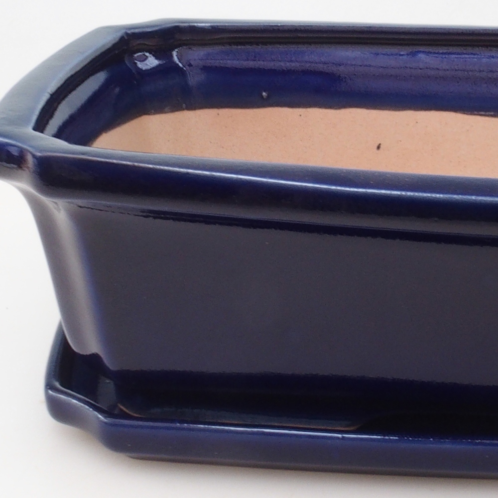 Bol Bonsaï + soucoupe H07 - 30 x 20,5 x 8 cm - bleu