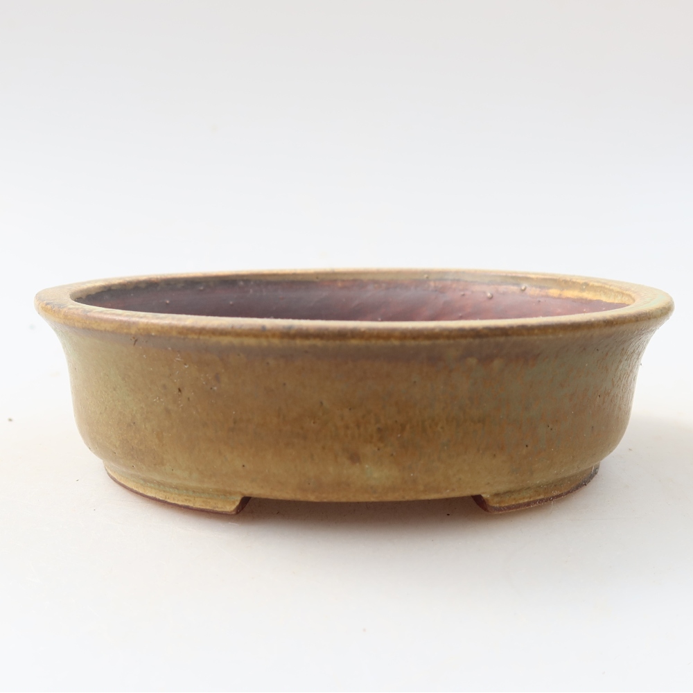 Pot à bonsaï en céramique 12,5 x 11,5 x 3,5 cm, couleur verte