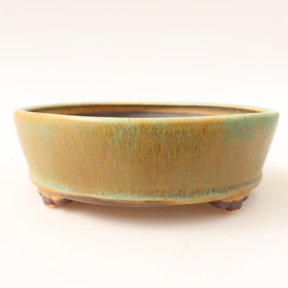 Bol à bonsaï en céramique 15,5 x 15,5 x 5 cm, vert
