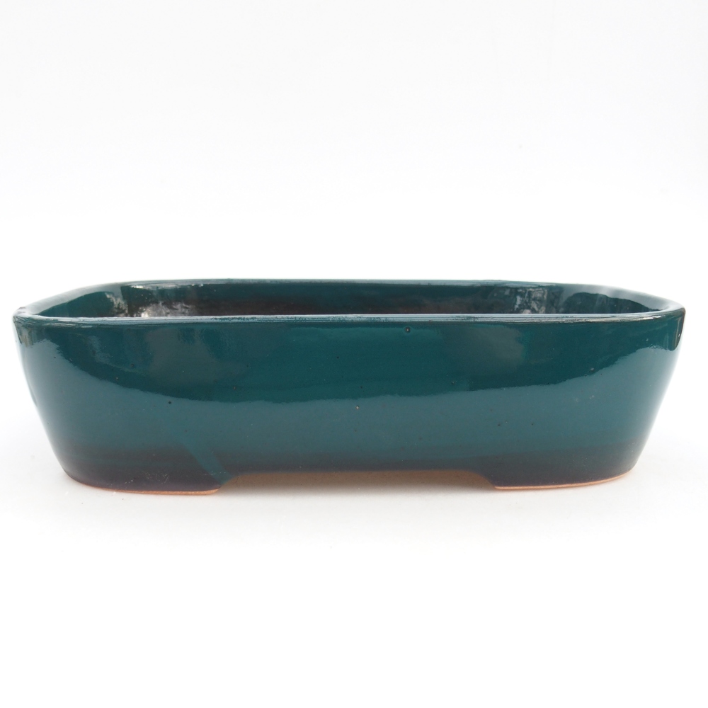 Bol à bonsaï en céramique 23 x 18 x 5,5 cm, vert