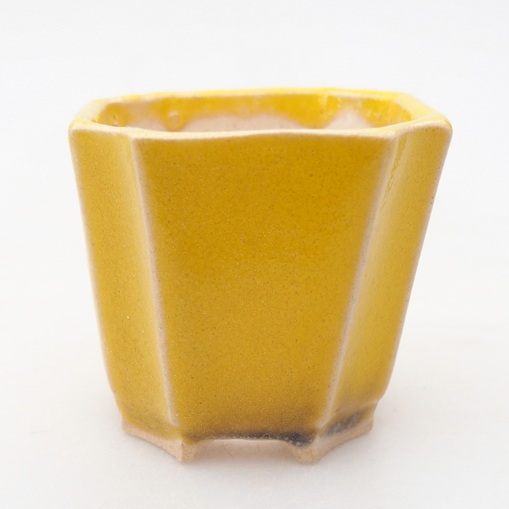 Mini bol bonsaï 4,5 x 4,5 x 4 cm, jaune