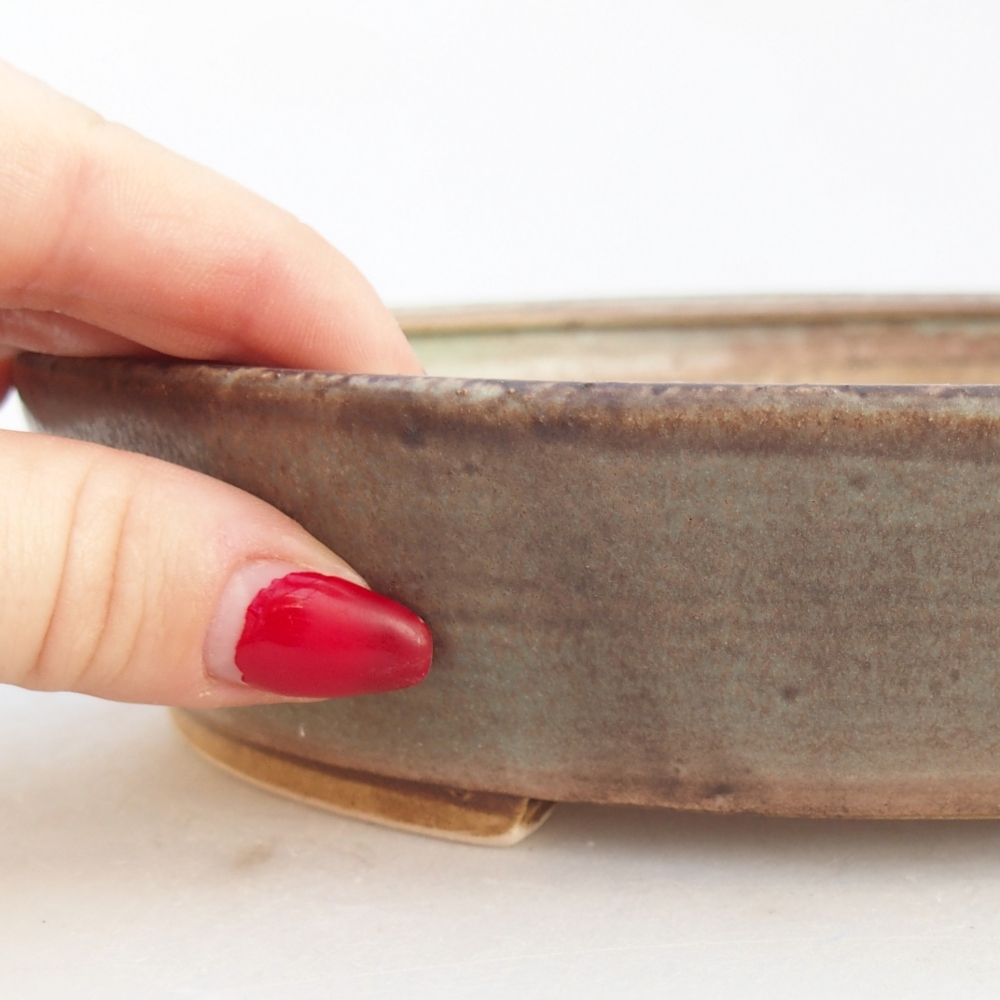 Bol à bonsaï en céramique 21 x 19 x 4,5 cm, vert