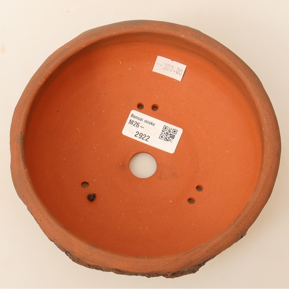 Pot à bonsaï en céramique 17 x 17 x 6 cm, couleur marron