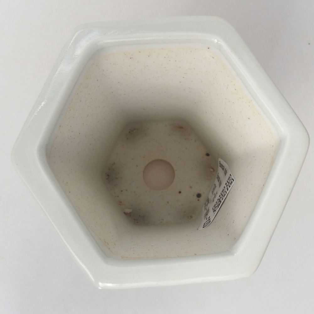 Bol à bonsaï en céramique 10 x 9 x 9 cm, couleur blanc